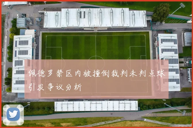 佩德罗禁区内被撞倒裁判未判点球引发争议分析