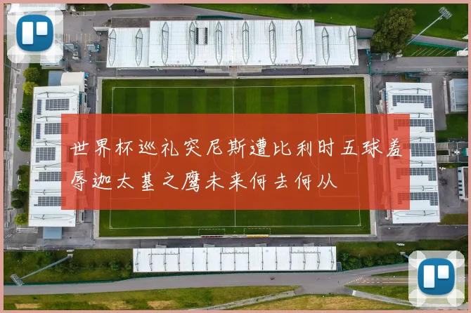 世界杯巡礼突尼斯遭比利时五球羞辱迦太基之鹰未来何去何从