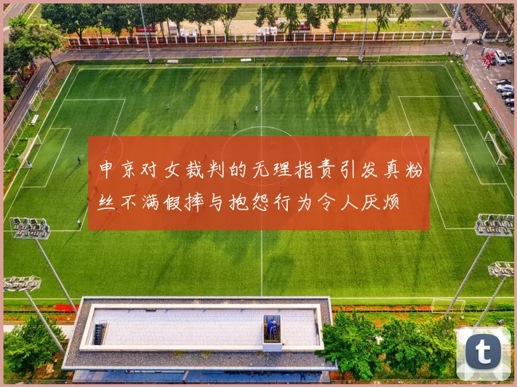 申京对女裁判的无理指责引发真粉丝不满假摔与抱怨行为令人厌烦